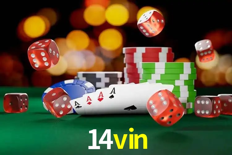 Experiência VIP 14vin