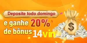 Promoções 14vin