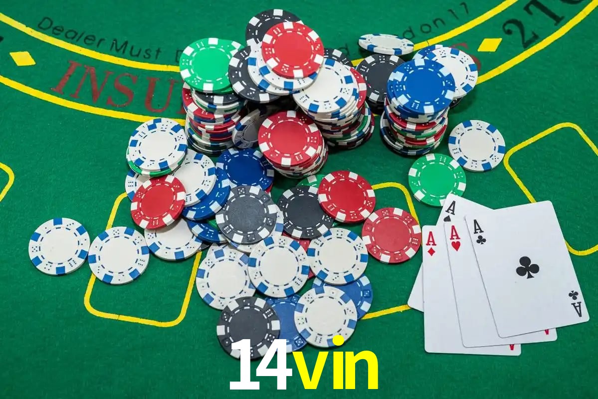 cassino 14vin