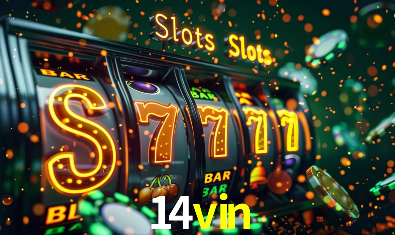 Programa VIP 14vin